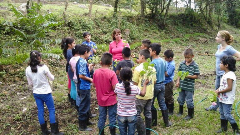 Jardín Educativo